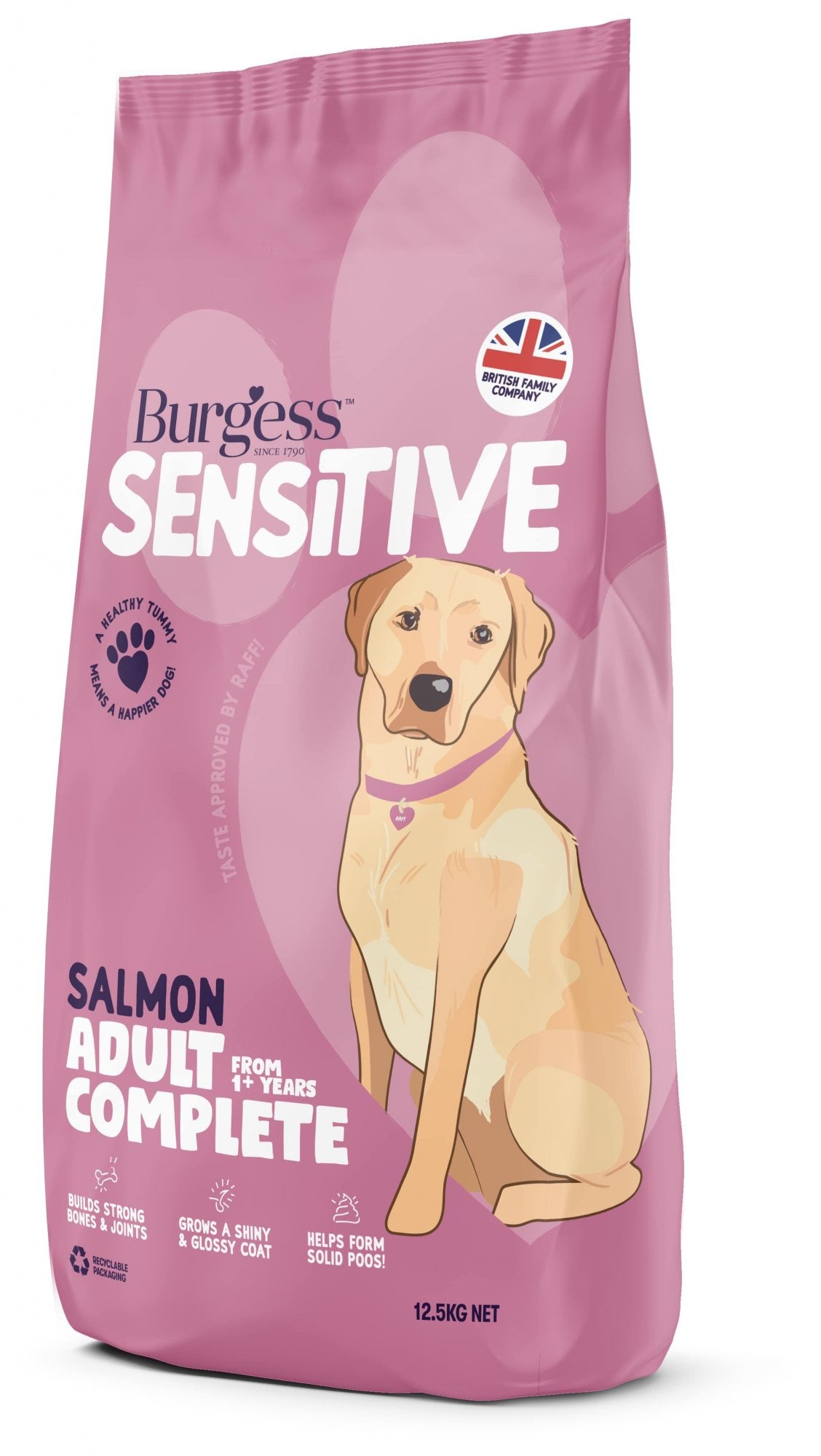 Burgess Sensitive Adult - Salmon - 12.5kg