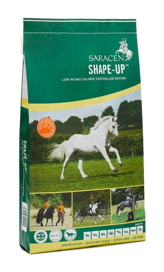 Saracen Shape-up Balancer - 20kg