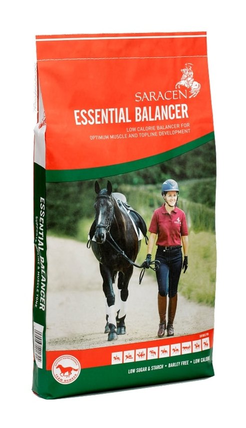 Saracen Essential Balancer - 20kg