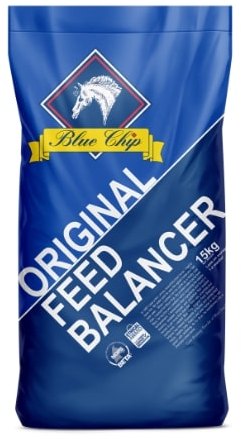 Blue Chip Original