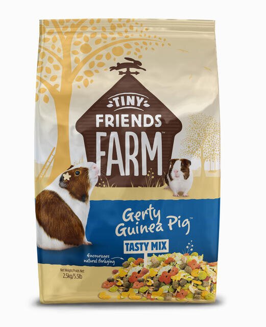 Tiny Friends Gerty Guinea Pig 2.5kg