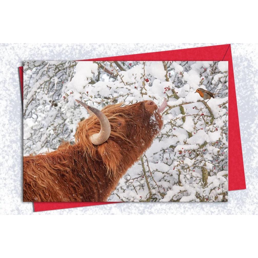 Kitchy & Co Christmas Card - 5pk