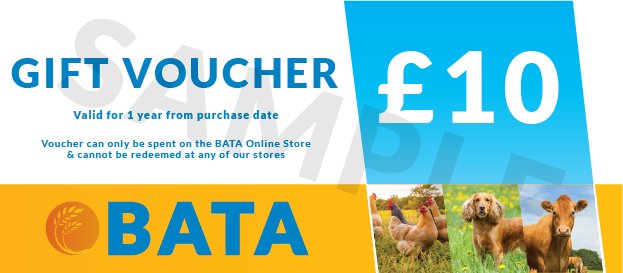 E-voucher