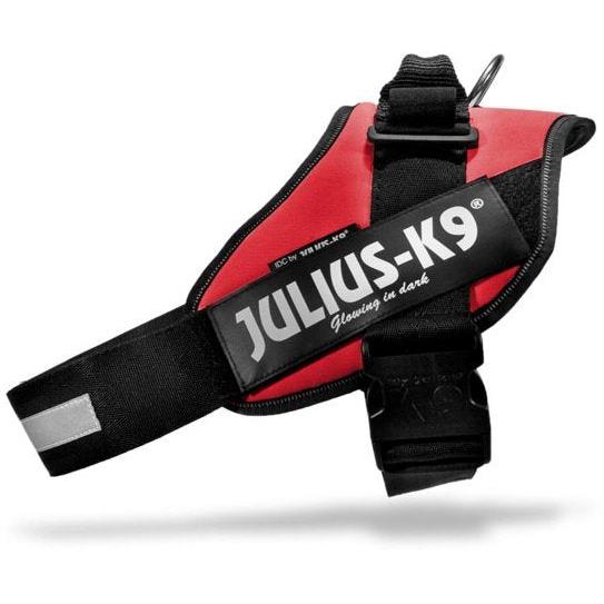 Julius K9 IDC Dog Powerharness