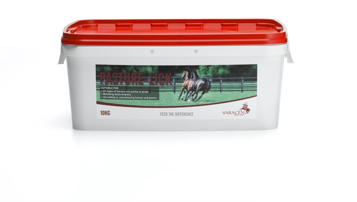 Saracen Pasture-lick - 10kg