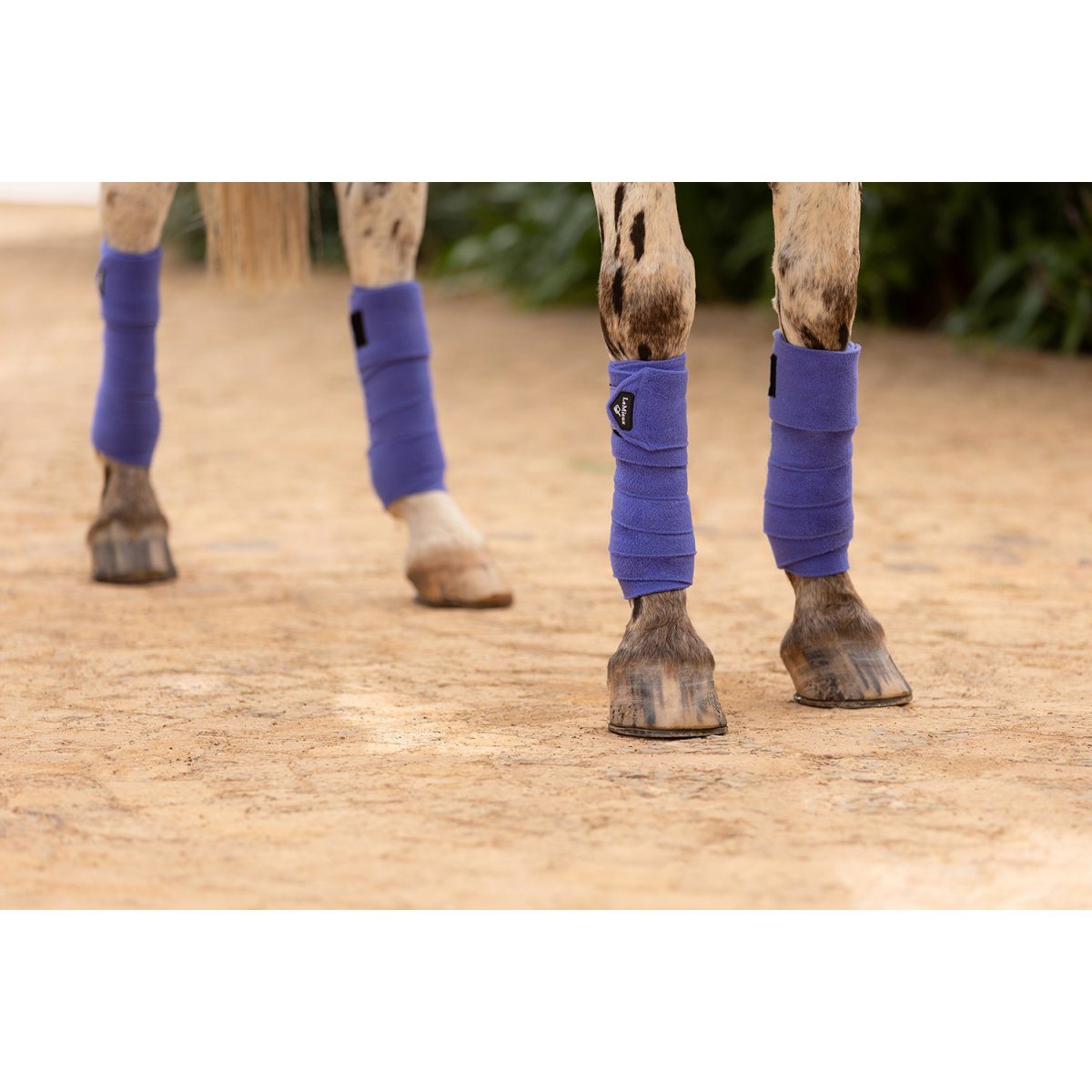 LeMieux Polo Bandages - Set Of 4