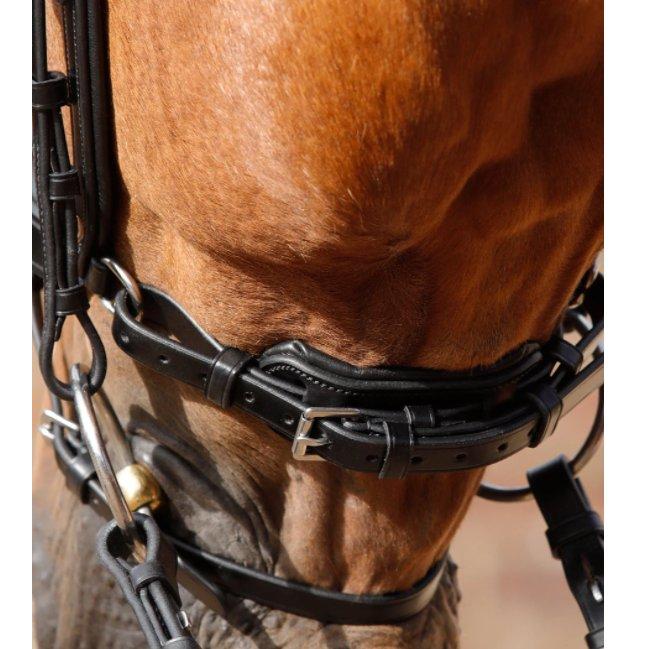Premier Equine Savuto Anatomic Bridle With Crank Noseband & Flash