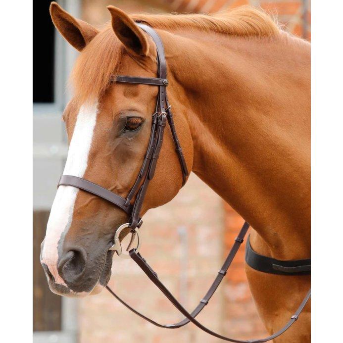 Premier Equine Primo Hunter Bridle Brown