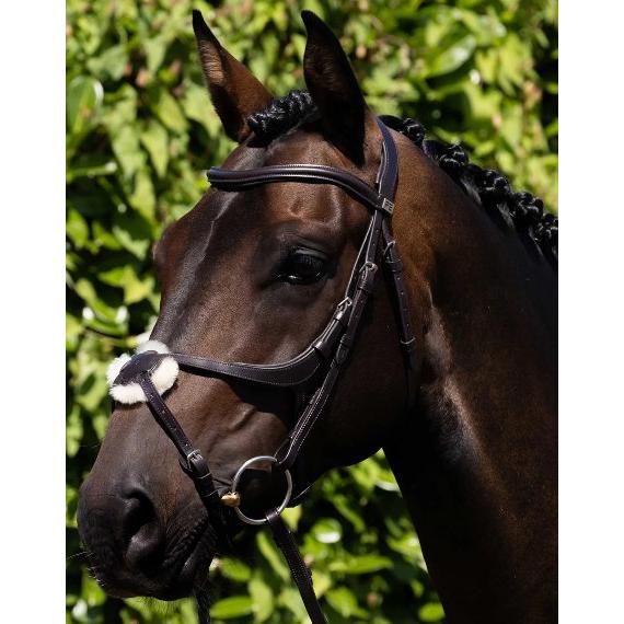 Premier Equine Glorioso Grackle Bridle