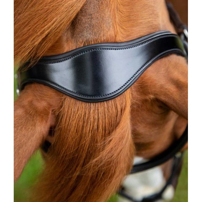 Premier Equine Glorioso Grackle Bridle