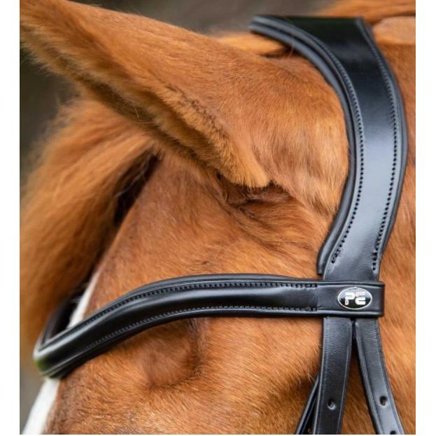 Premier Equine Glorioso Grackle Bridle