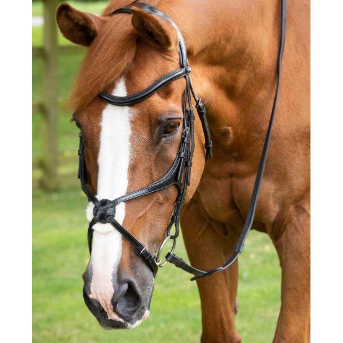 Premier Equine Glorioso Grackle Bridle