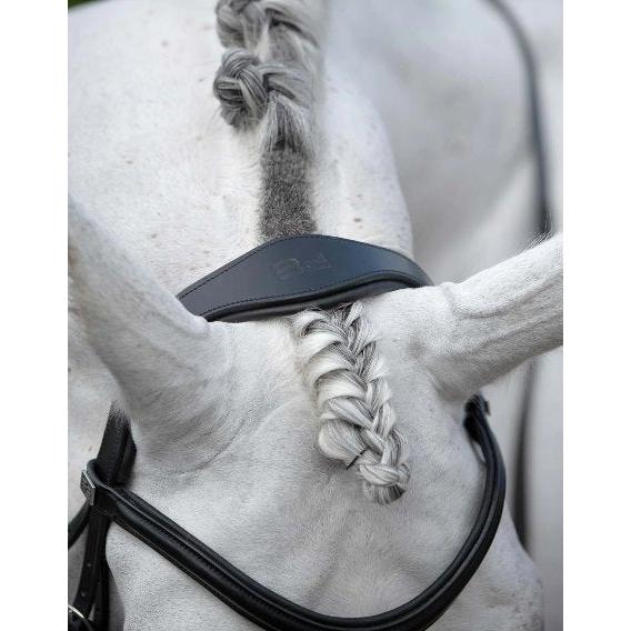 Premier Equine Rizzo Anatomic Snaffle Bridle With Flash