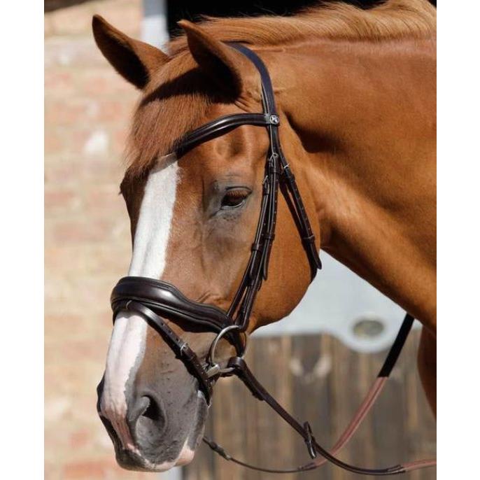 Premier Equine Rizzo Anatomic Snaffle Bridle With Flash