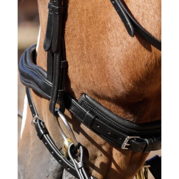 Premier Equine Rizzo Anatomic Snaffle Bridle With Flash