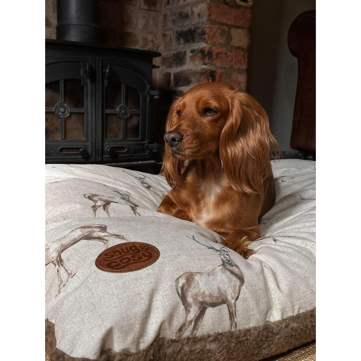 Snug & Cosy Dog Bed Lounger
