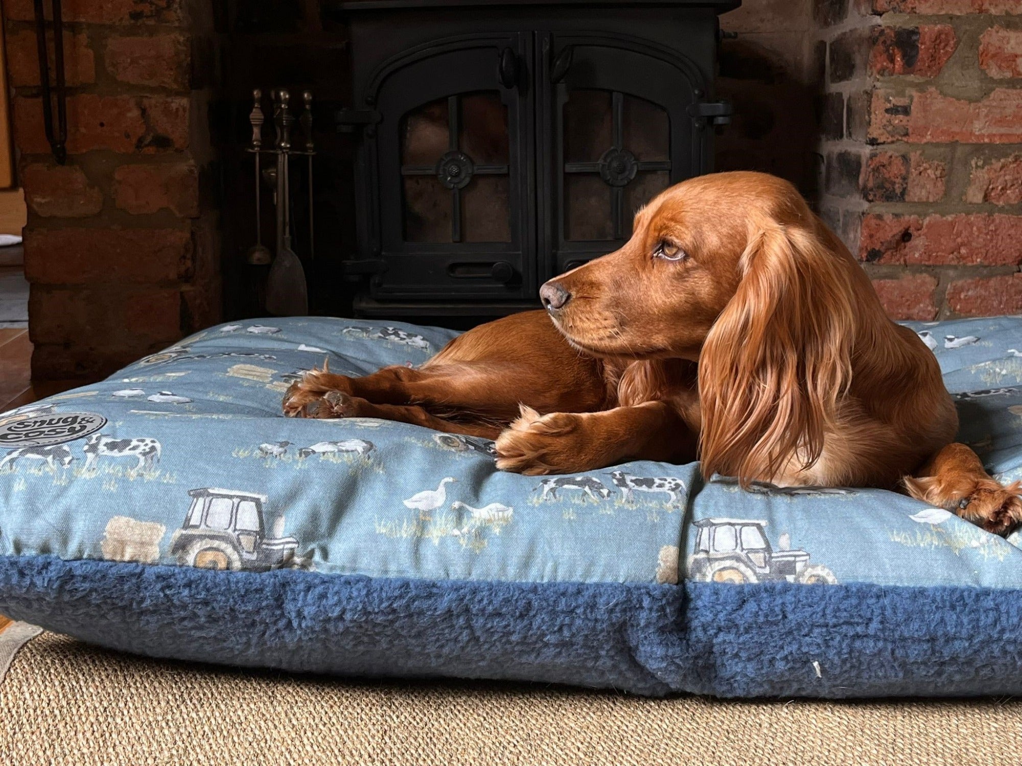 Snug & Cosy Dog Bed Lounger