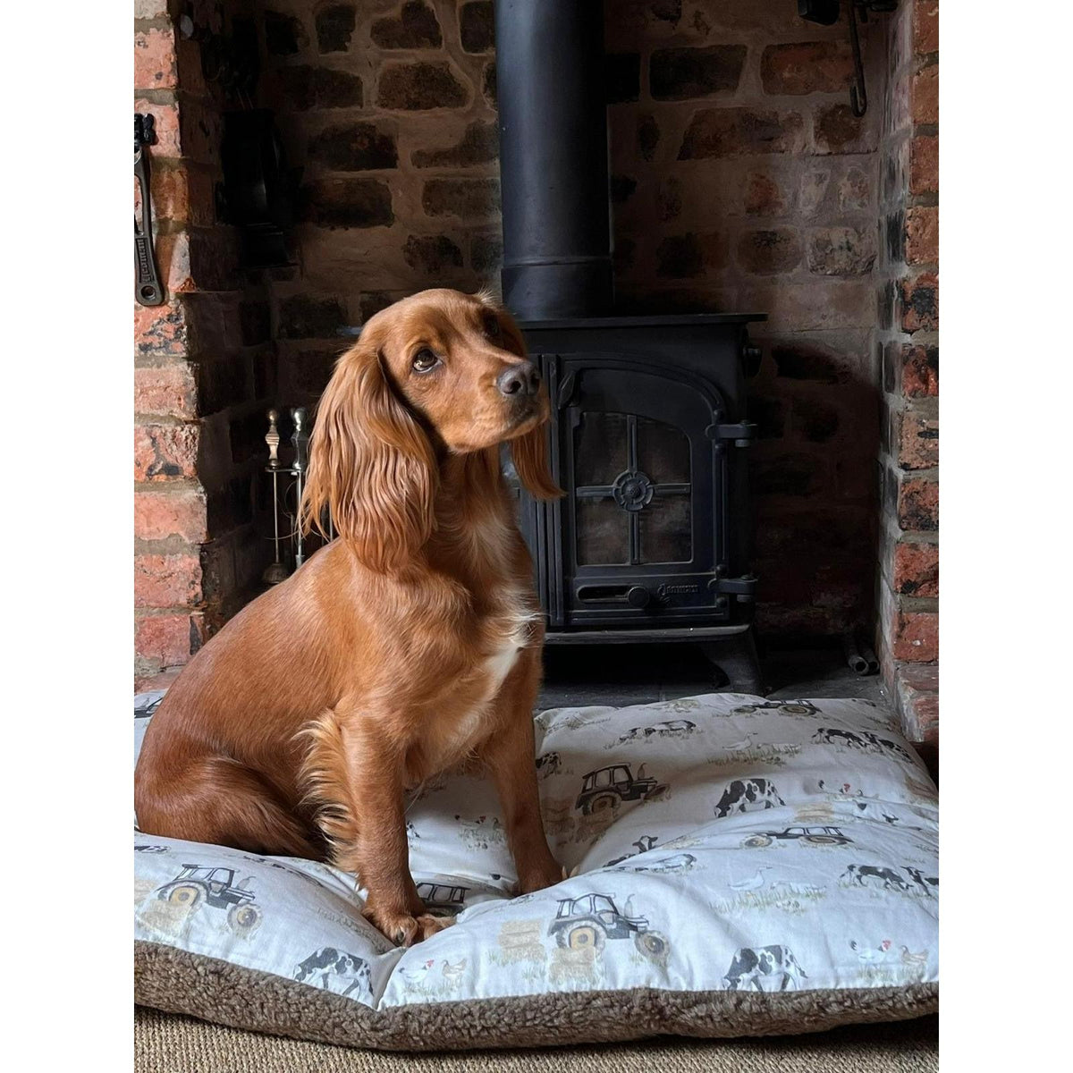Snug & Cosy Dog Bed Lounger