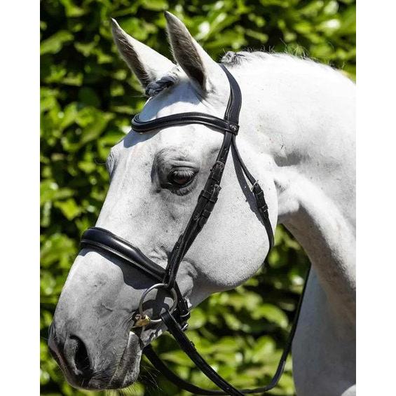 Premier Equine Verdura Anatomic Snaffle Bridle
