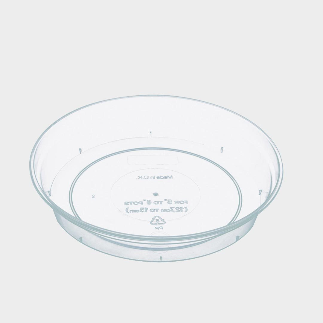 Stewart Clear Saucer - 11-18.5cm