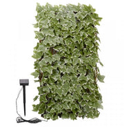 SG Solar In-lit Ivy Trellis