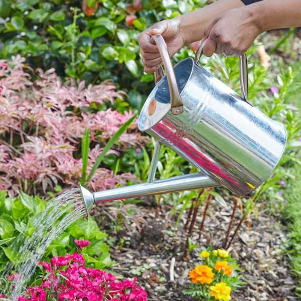SG Watering Can