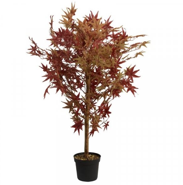 SG Topiary Tree