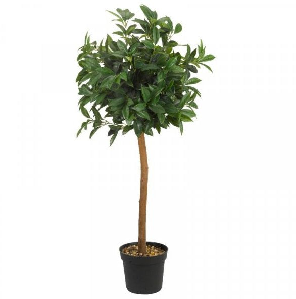 SG Topiary Tree
