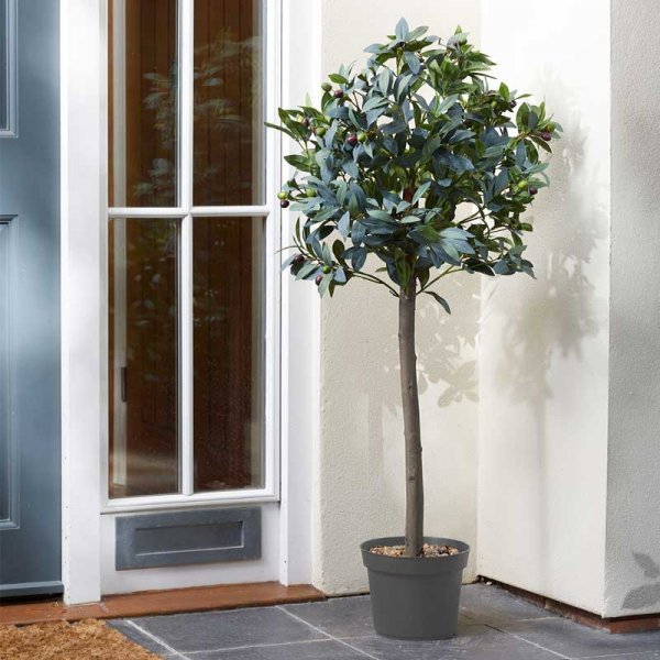 SG Topiary Tree
