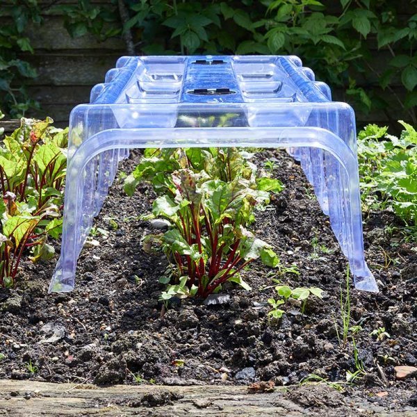 SG Clear Cloche