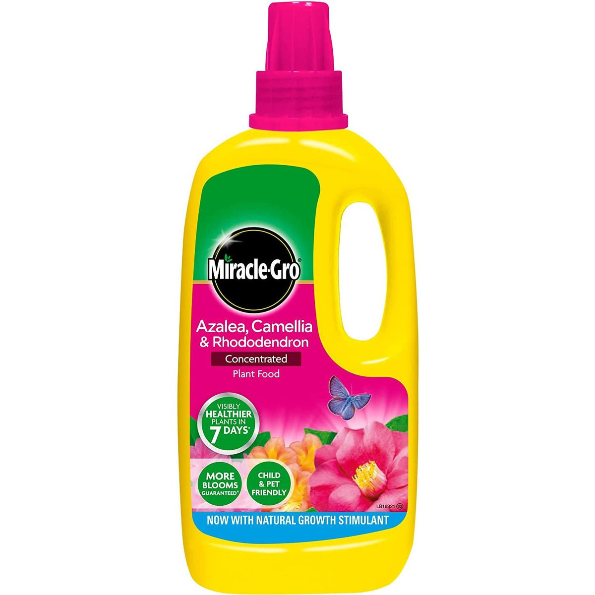 Miracle-Gro Ericaceous - Plant Feed - 1l
