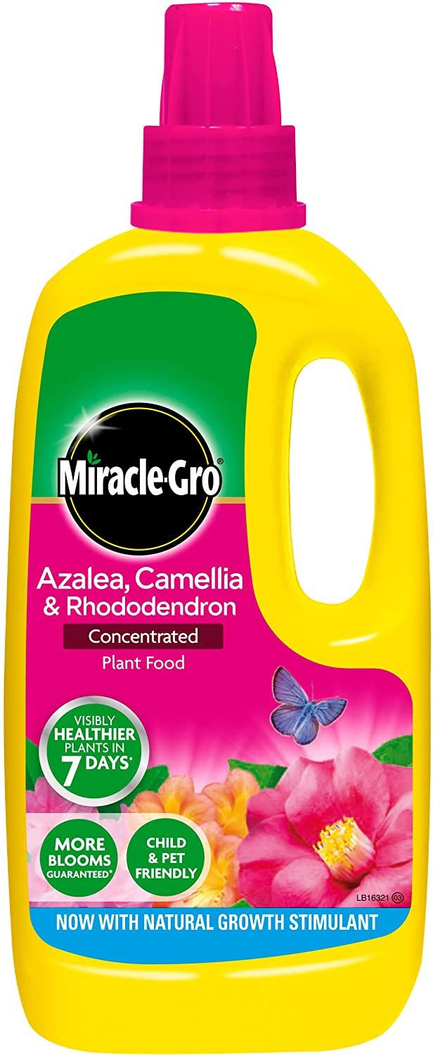 Miracle-Gro Ericaceous - Plant Feed - 1l