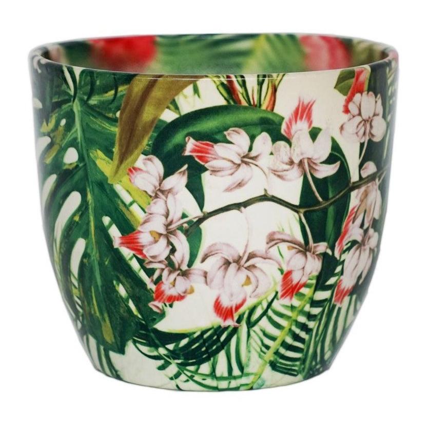 Ivyline Monza Tropical - 17cm