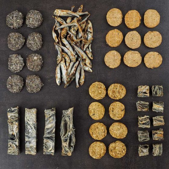 Zoon-cc Salmon Cookies With Kelp