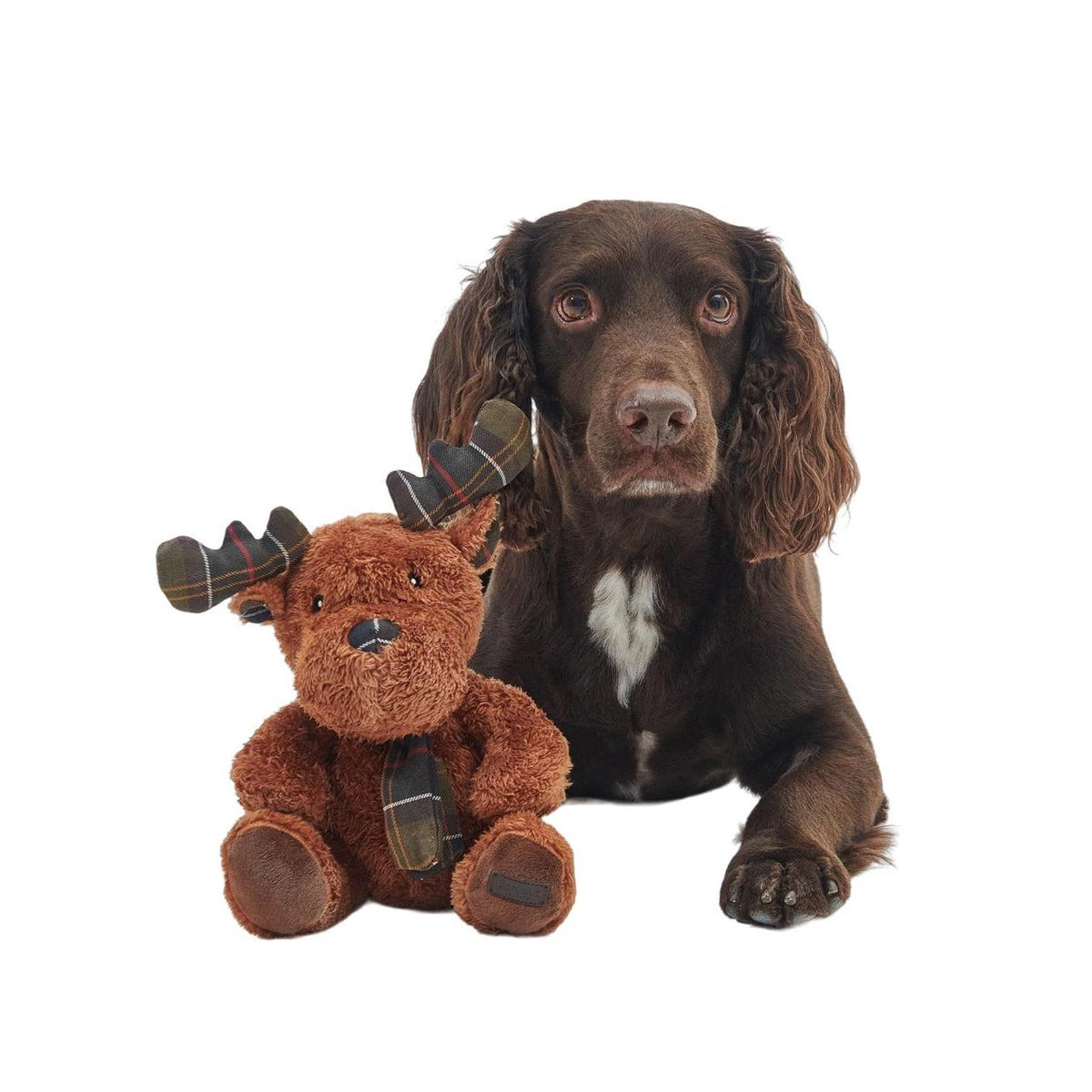 Barbour Dog Toy