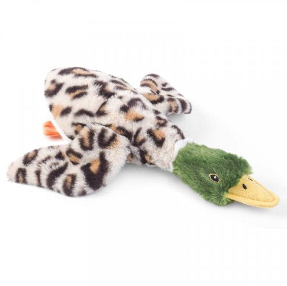 Zoon Duck