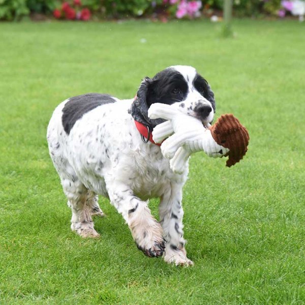 Zoon Miniplay Percy Pug