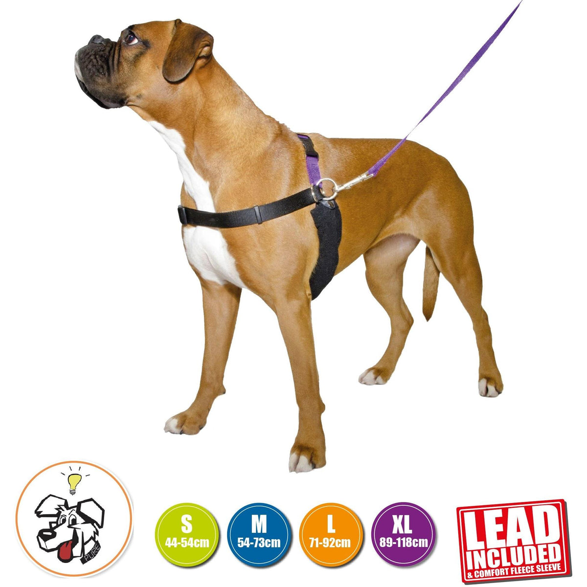 Ancol Pdl Harness & Lead - Small