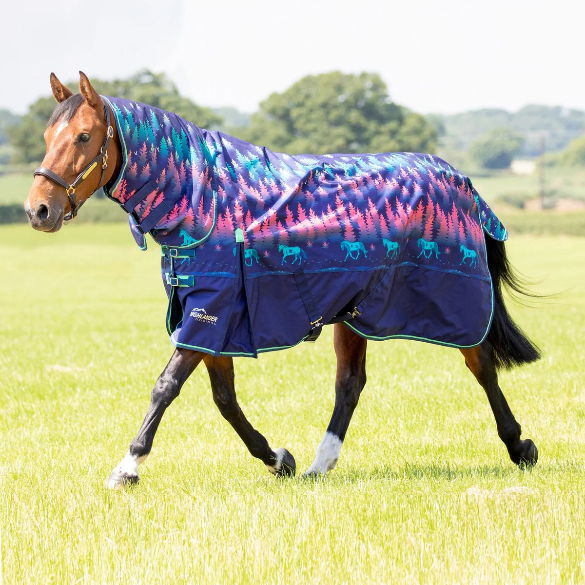 Shires Highlander Original 200g Combo Turnout Rug