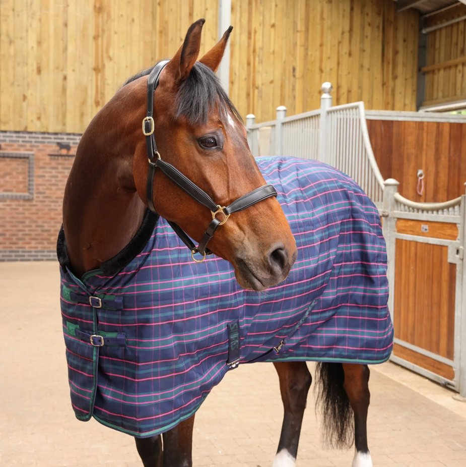 Shires Tempest Plus Stable Standard 100g Rug