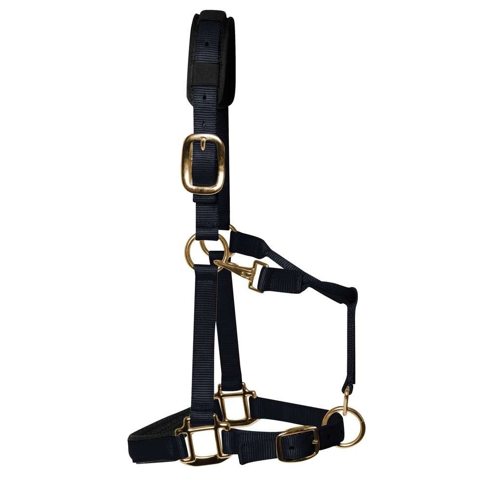 Km Elite Padded Headcollar