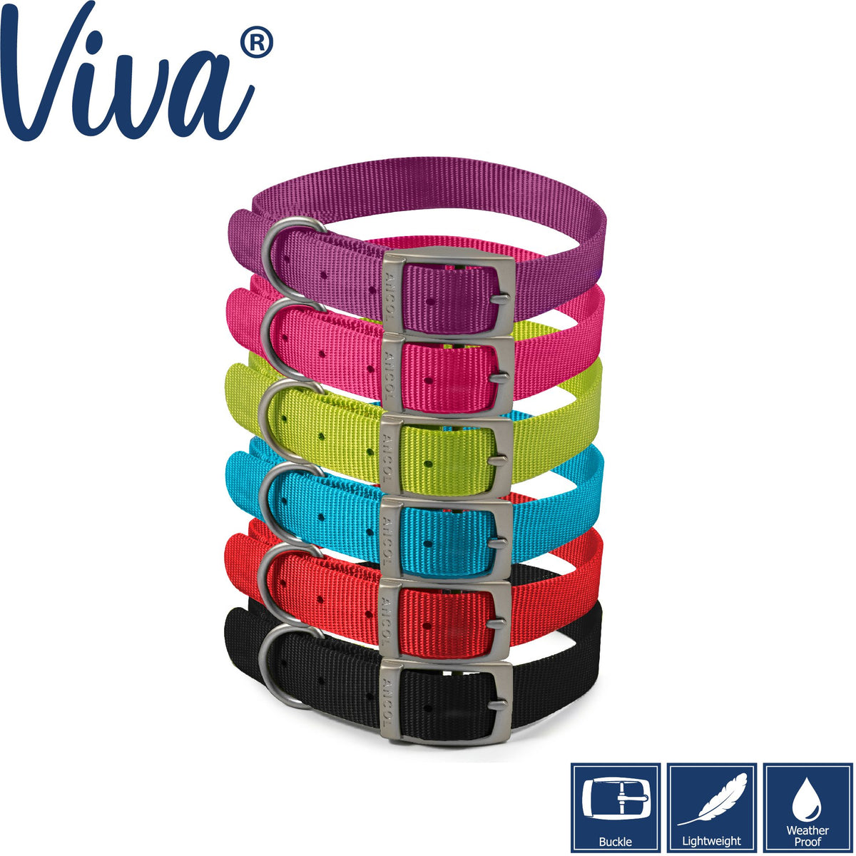 Ancol Nylon Dog Collar - 20'