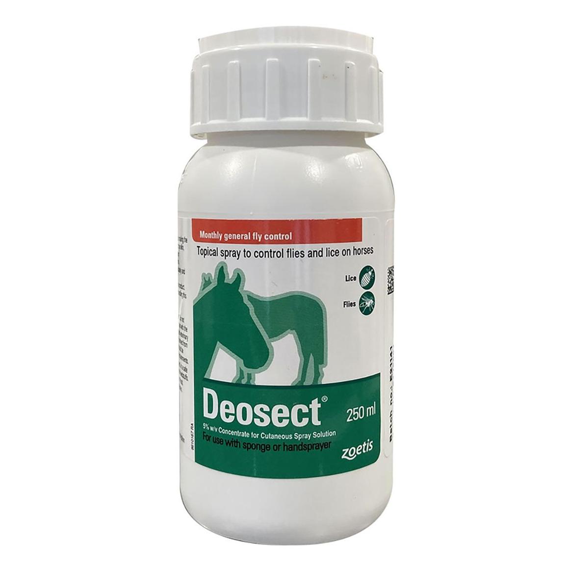 Deosect Horse