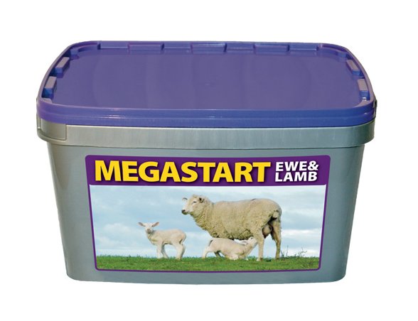 Megastart Ewe & Lamb - 20kg