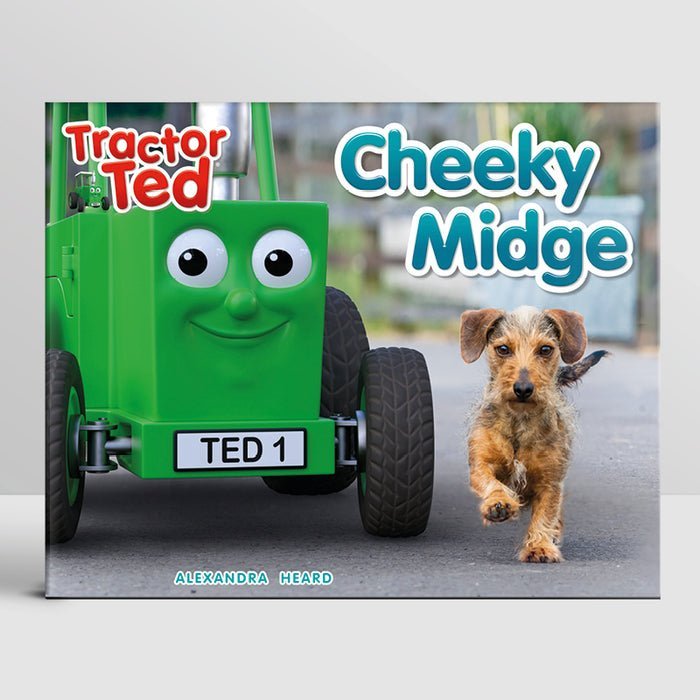Tractor Ted Story Book