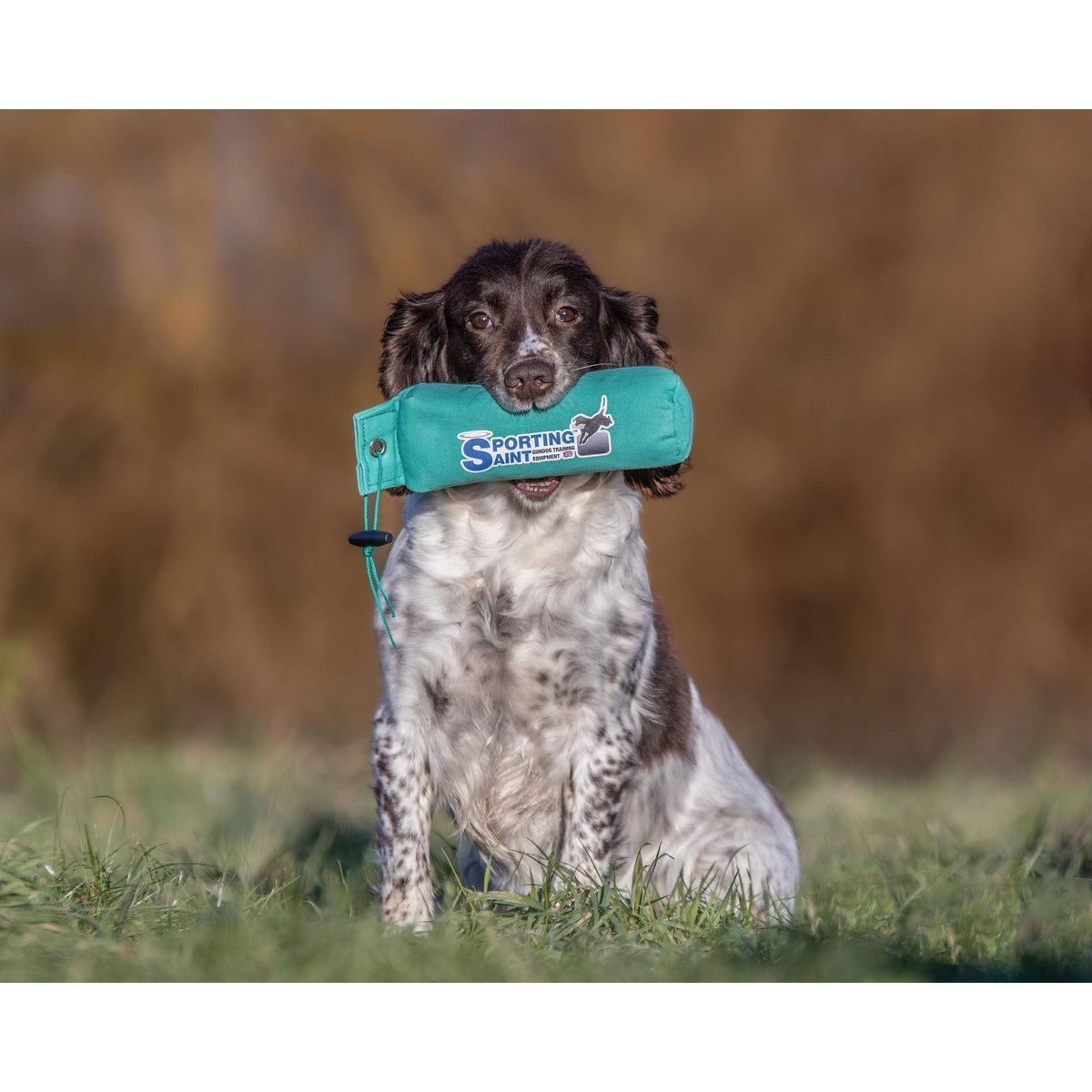 Dog Training Dummy - 1lb