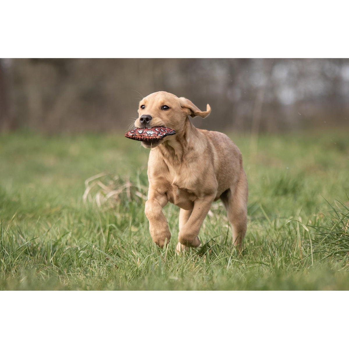 Dog Training Puppy Dummy