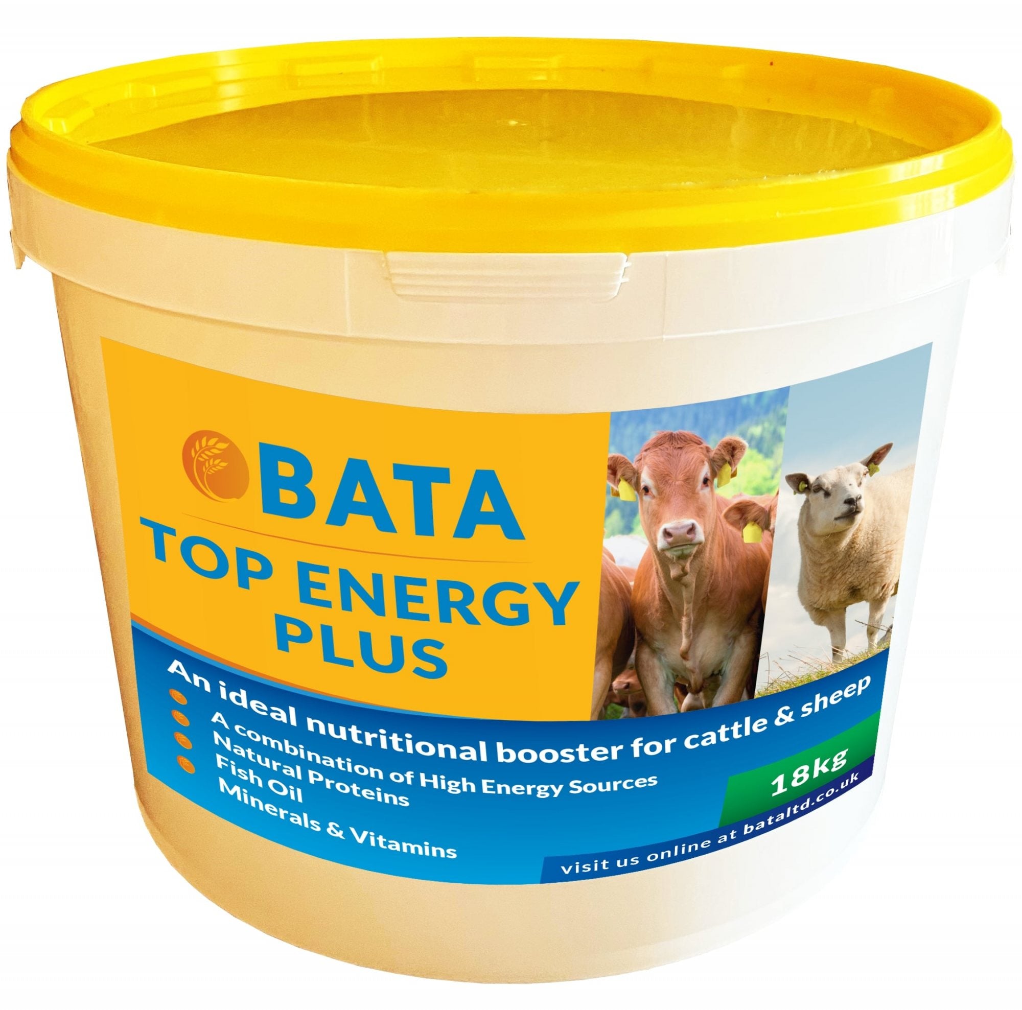BATA Top Energy Plus Lick - 18kg