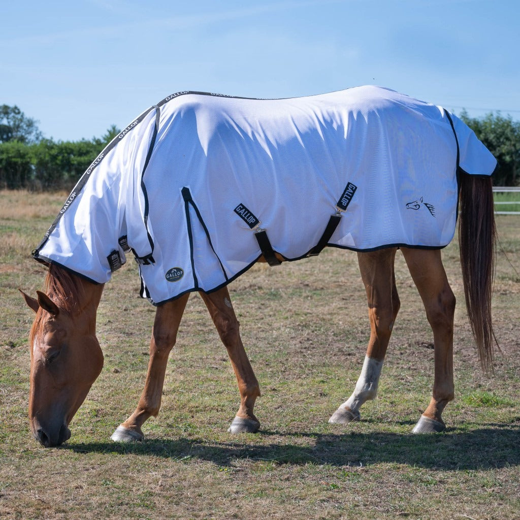 Gallop Classic Mesh Combo Fly Rug