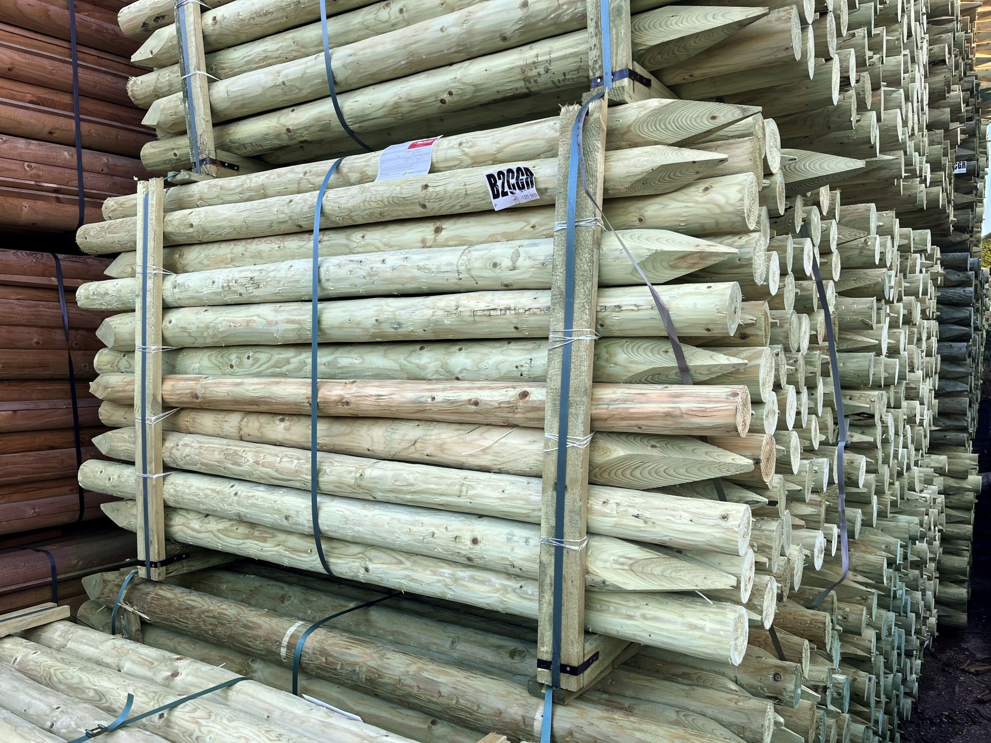 Treated Stake - 1.8m X 75-100mm